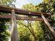 ALR - Meji-jingu Shrine