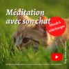 BME Miniature meditation avec son chat 1080 × 1080