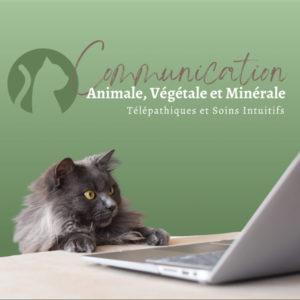 Communication Animale Végétale et Minérale - Edith GAUTHIER