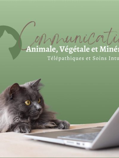Communication Animale Végétale et Minérale - Edith GAUTHIER